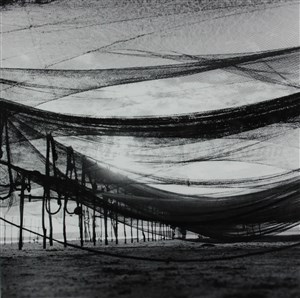 Image description is not available for 2014.054